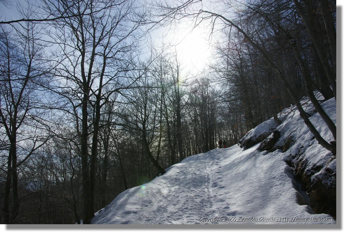 Montseny_009.jpg