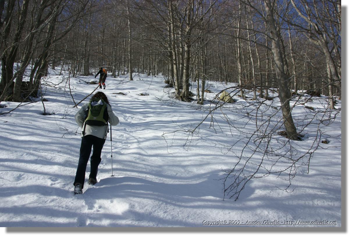 Montseny_010.jpg