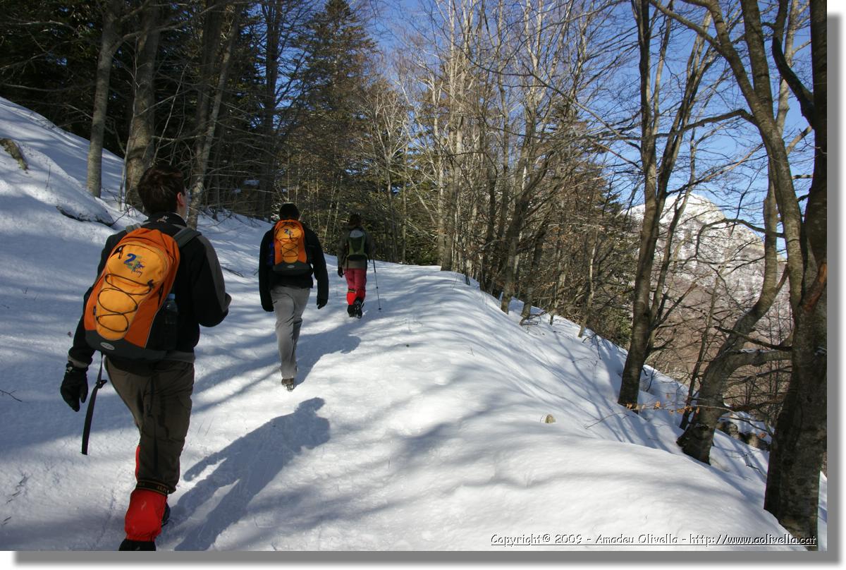 Montseny_011.jpg