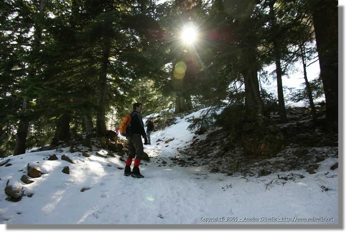 Montseny_013.jpg