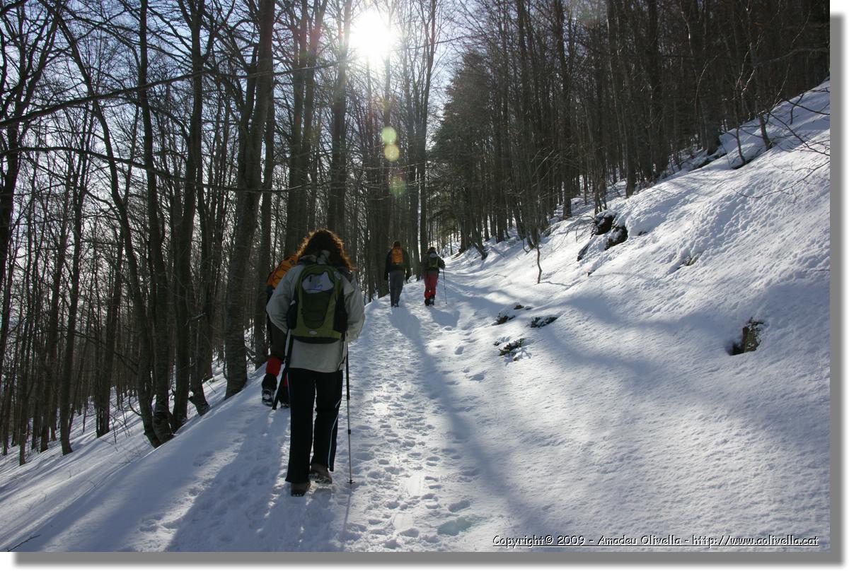 Montseny_015.jpg