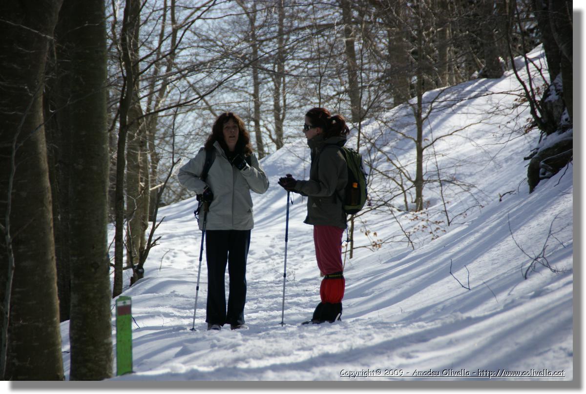 Montseny_017.jpg