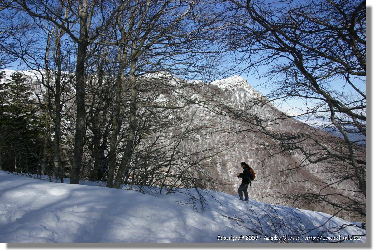 Montseny_018.jpg