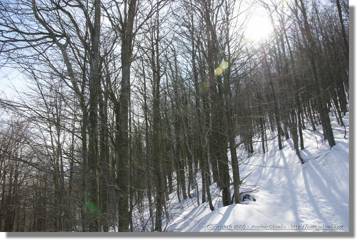 Montseny_023.jpg