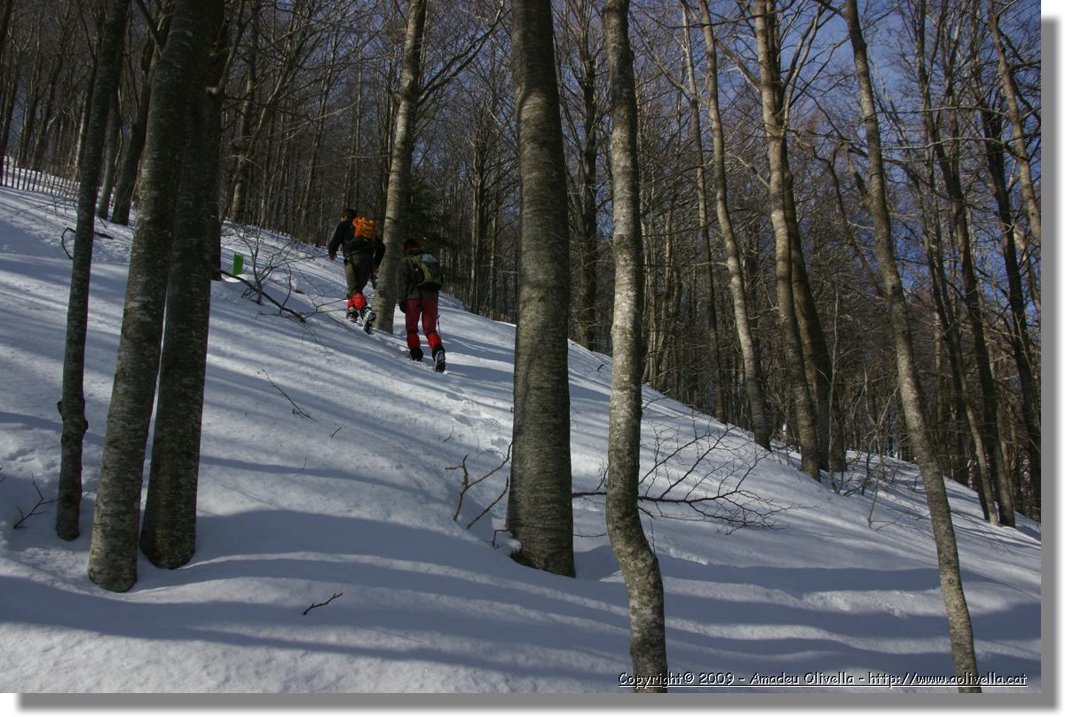 Montseny_024.jpg