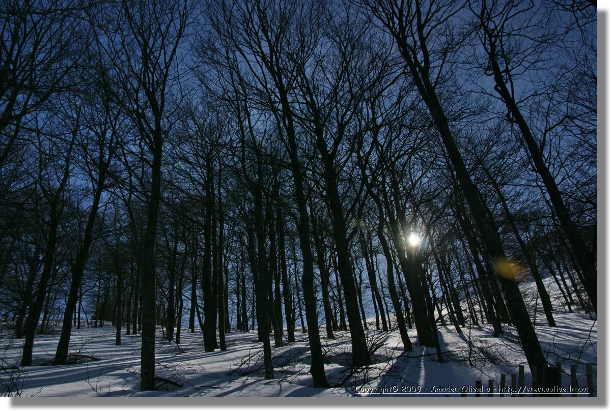 Montseny_026.jpg