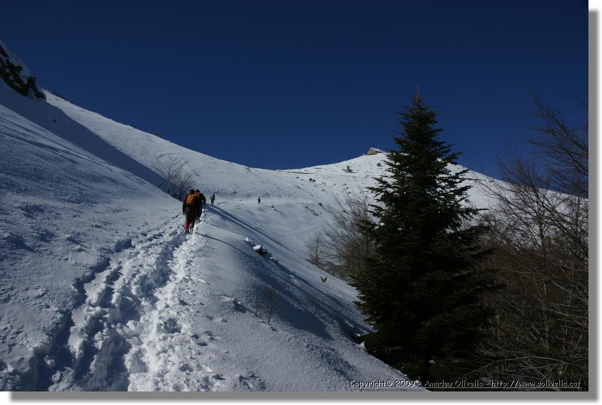Montseny_037.jpg
