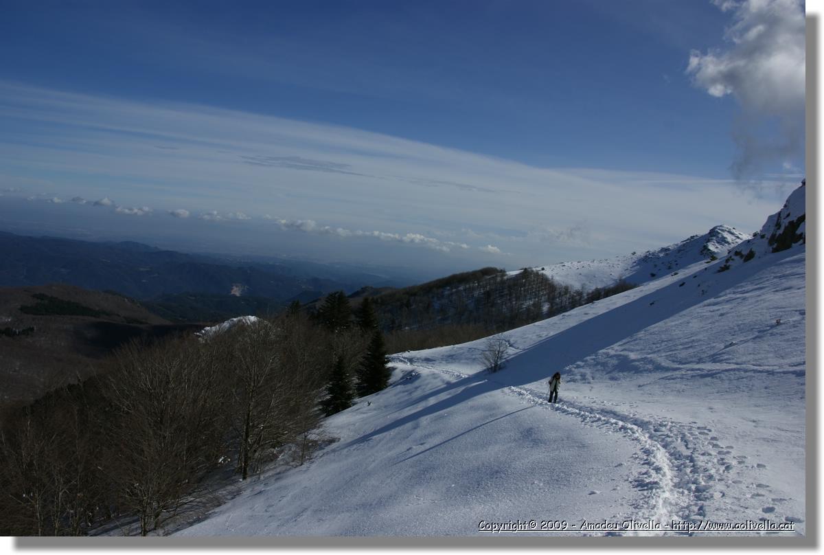 Montseny_041.jpg