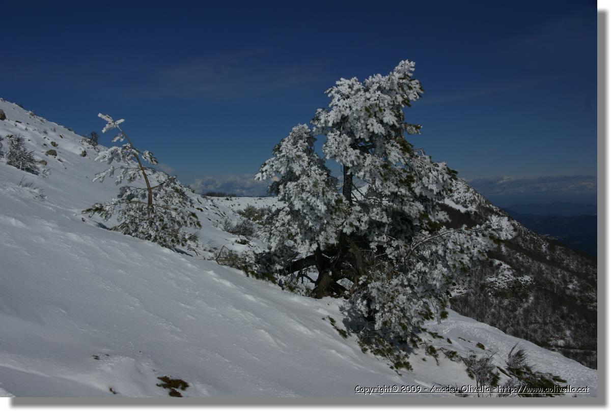 Montseny_048.jpg