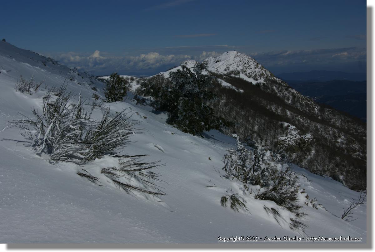 Montseny_052.jpg