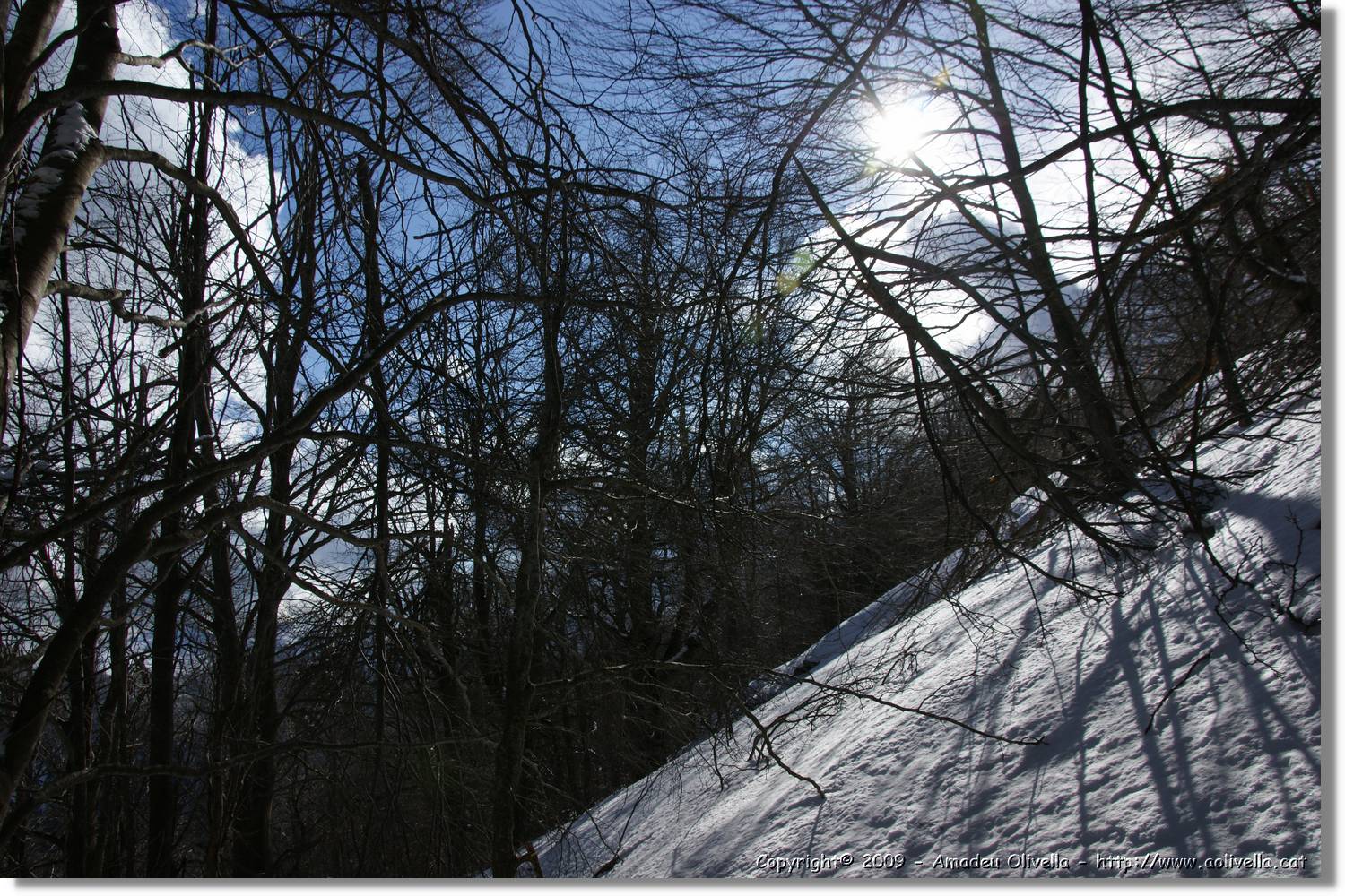 Montseny_127.jpg