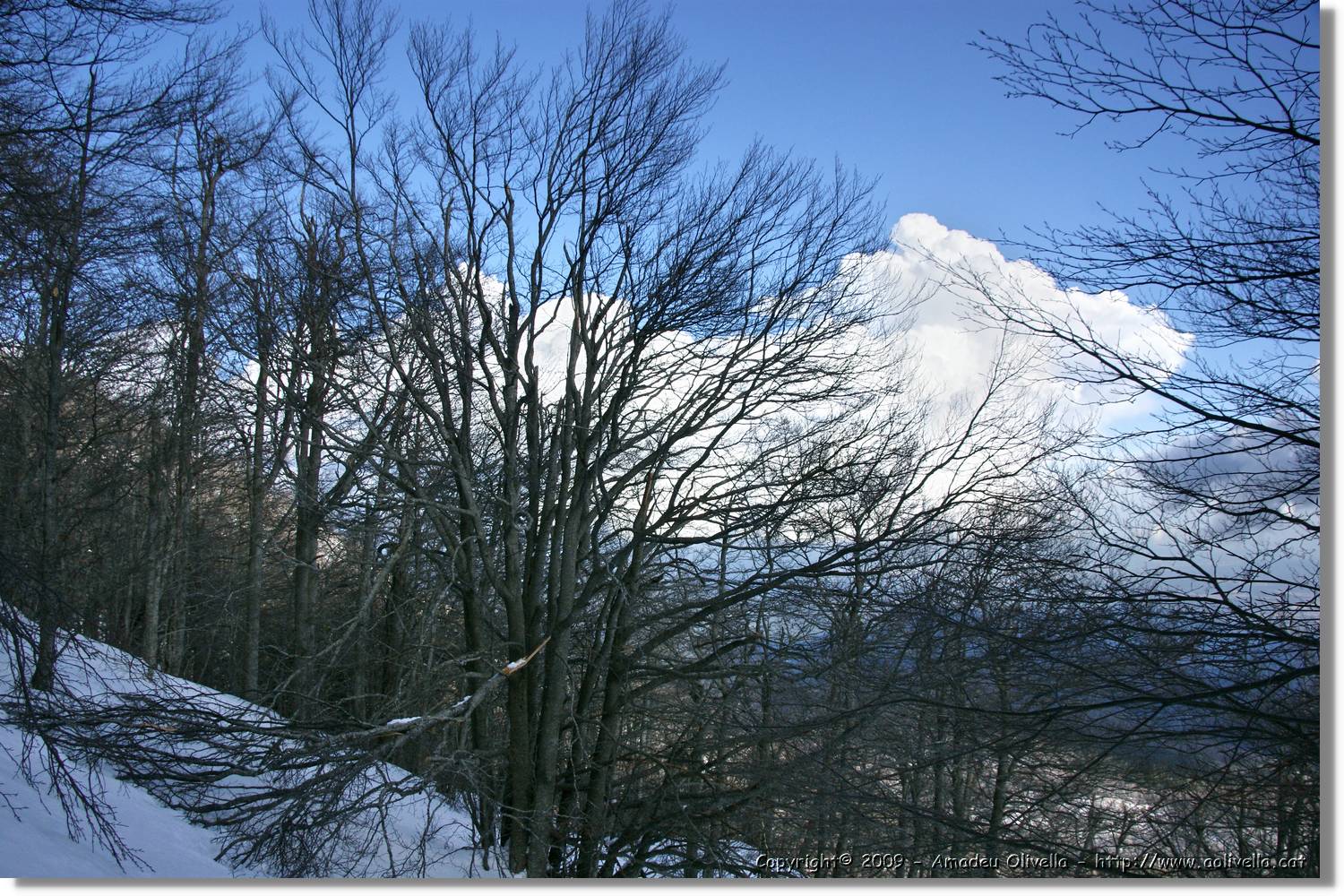 Montseny_128.jpg