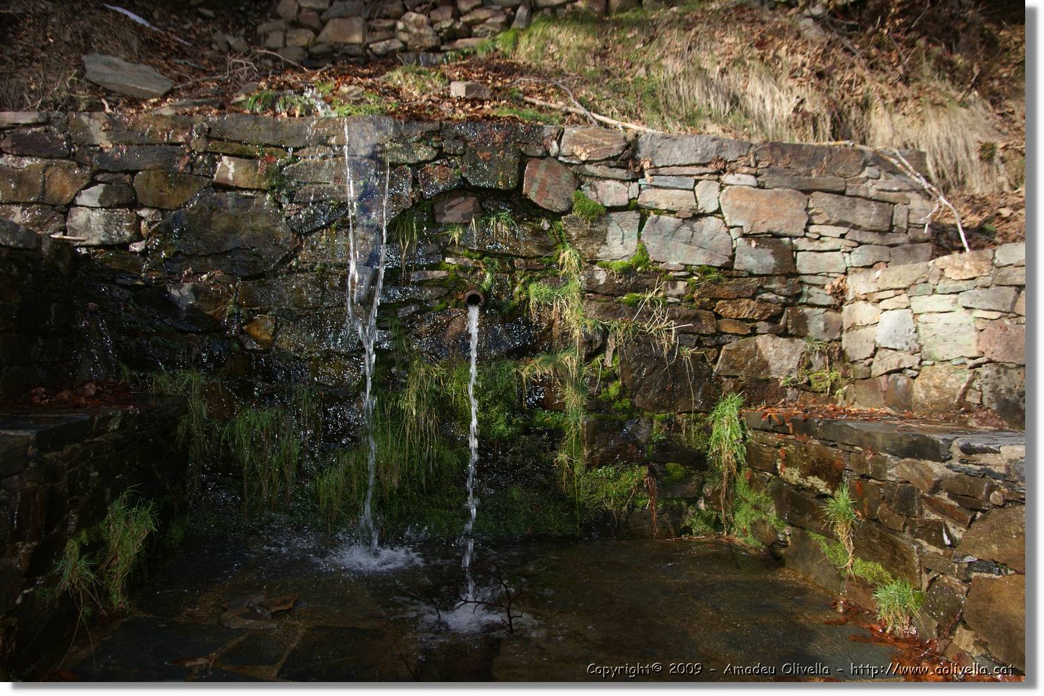 Montseny_135.jpg