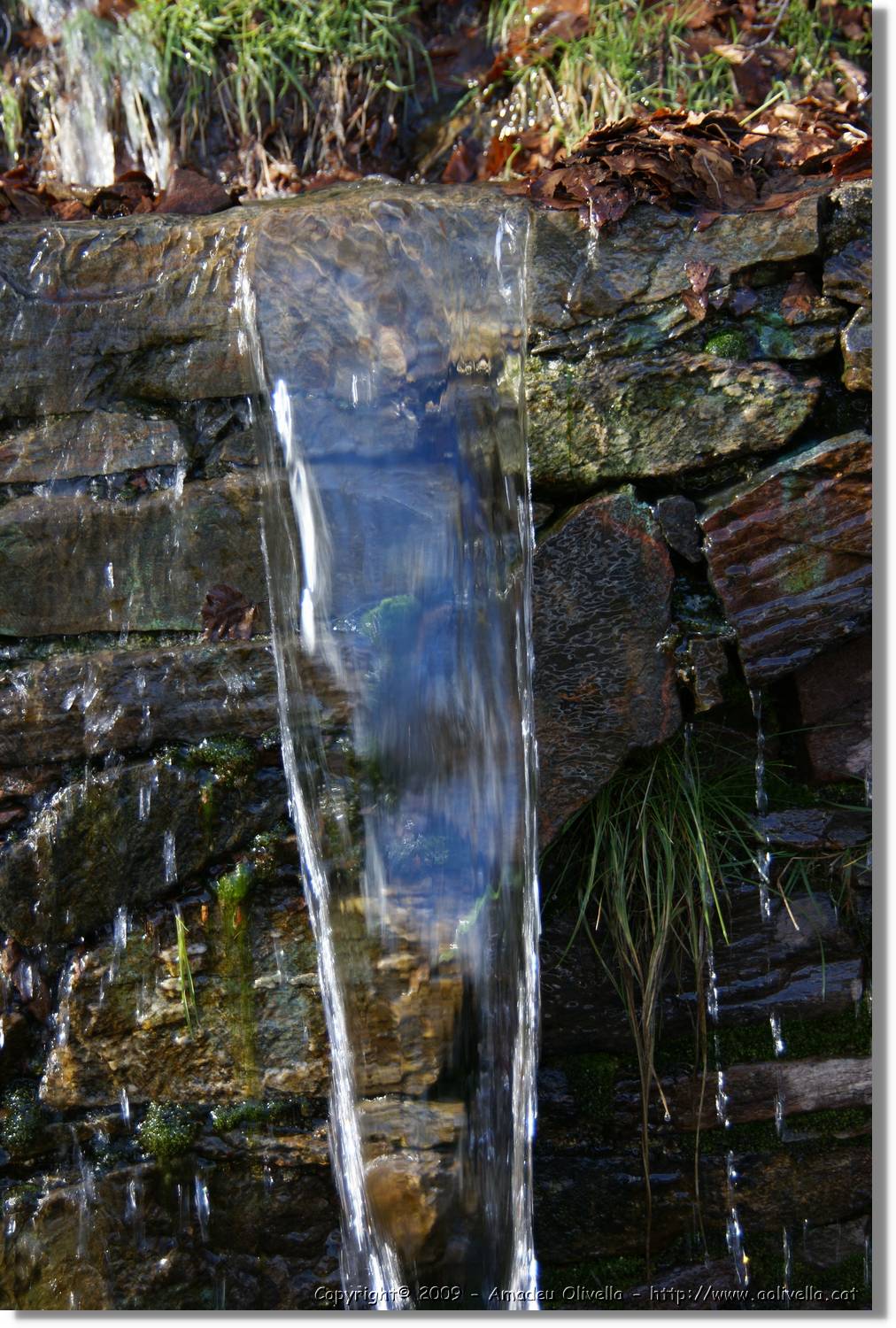 Montseny_139.jpg