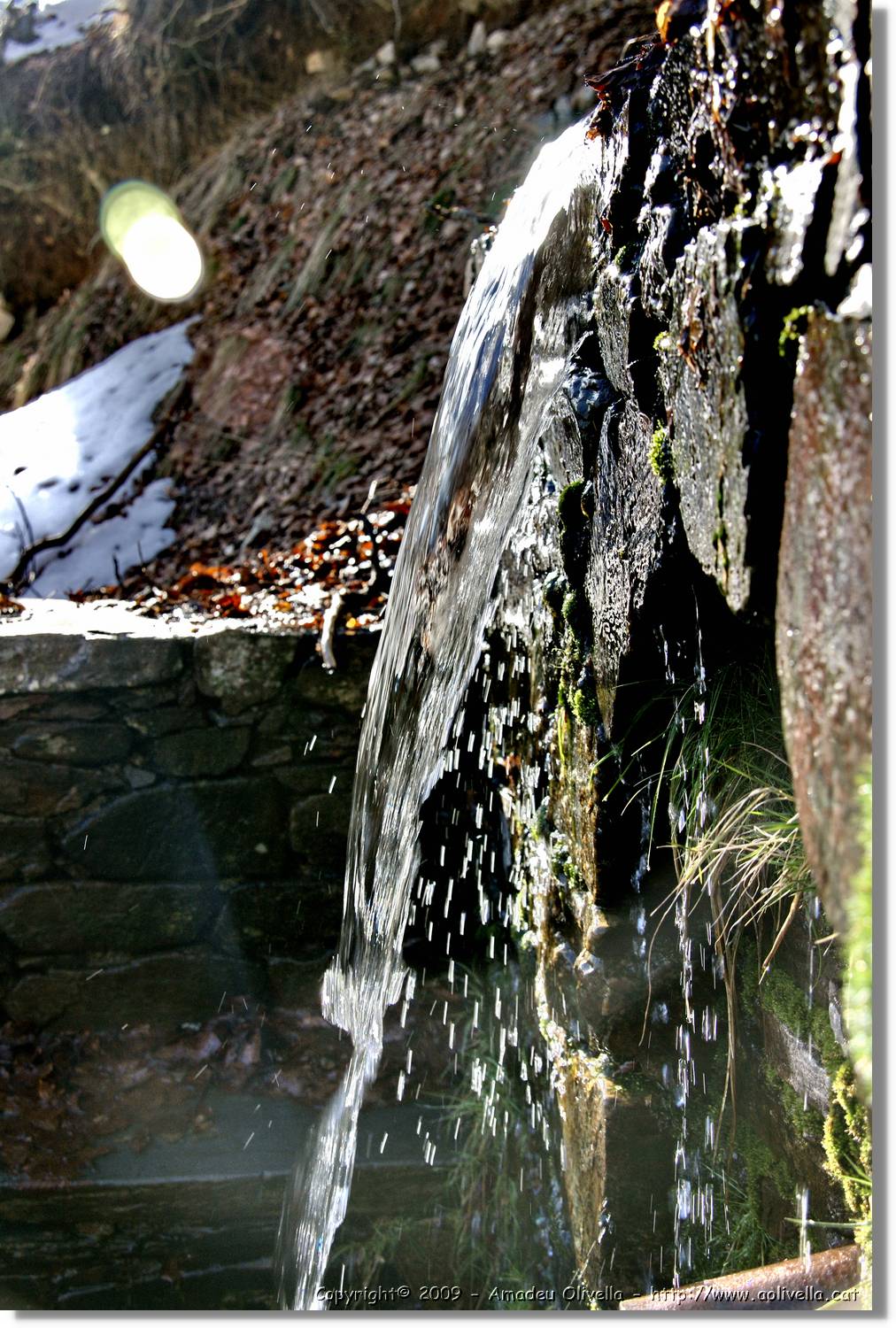 Montseny_140.jpg