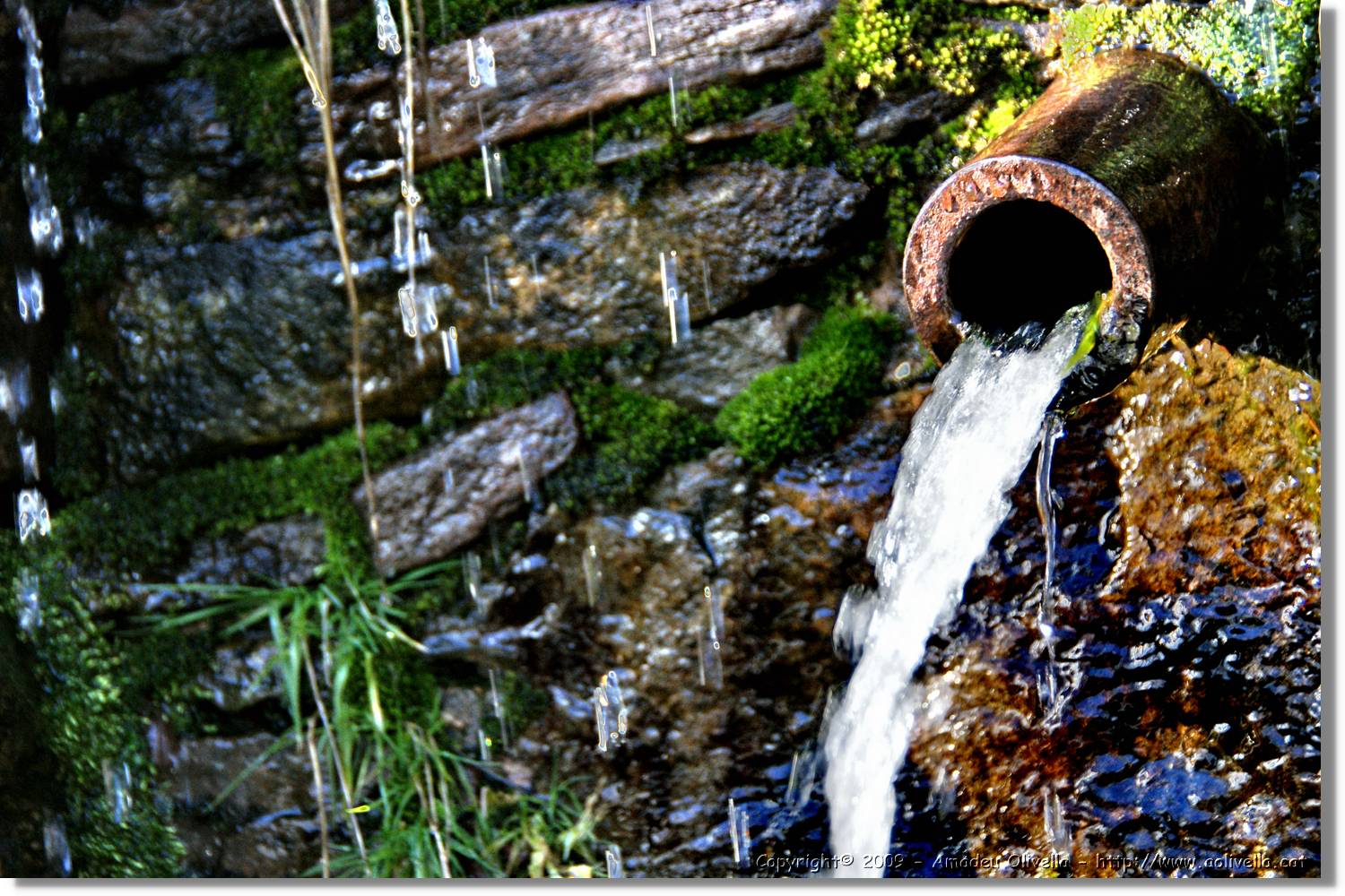 Montseny_141.jpg