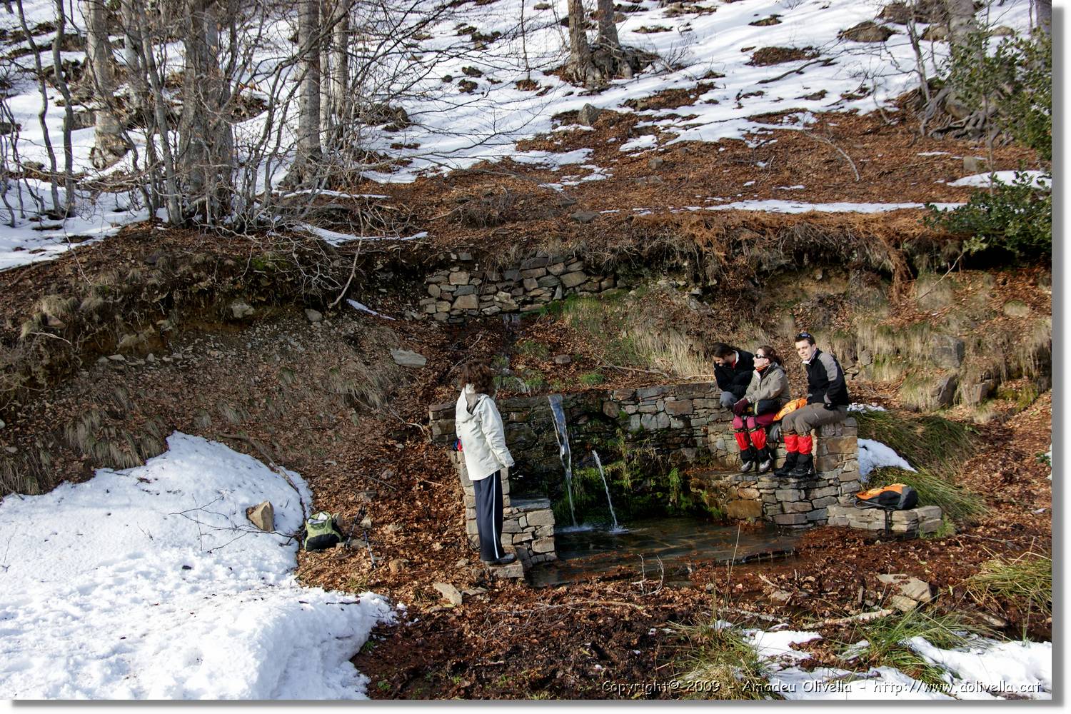 Montseny_142.jpg