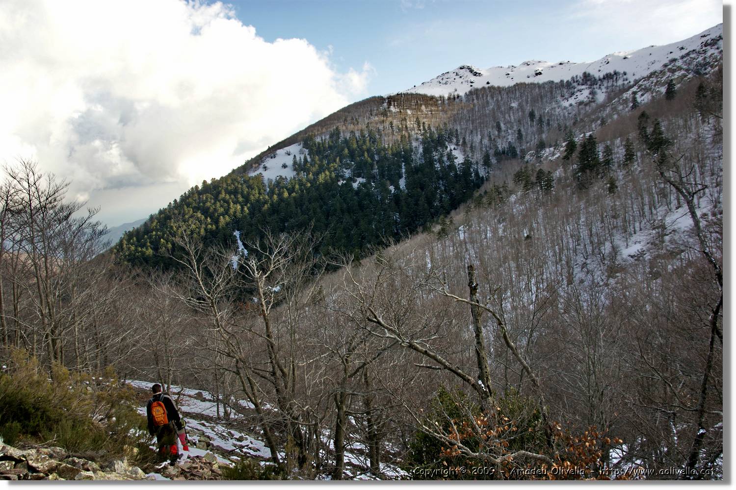 Montseny_143.jpg