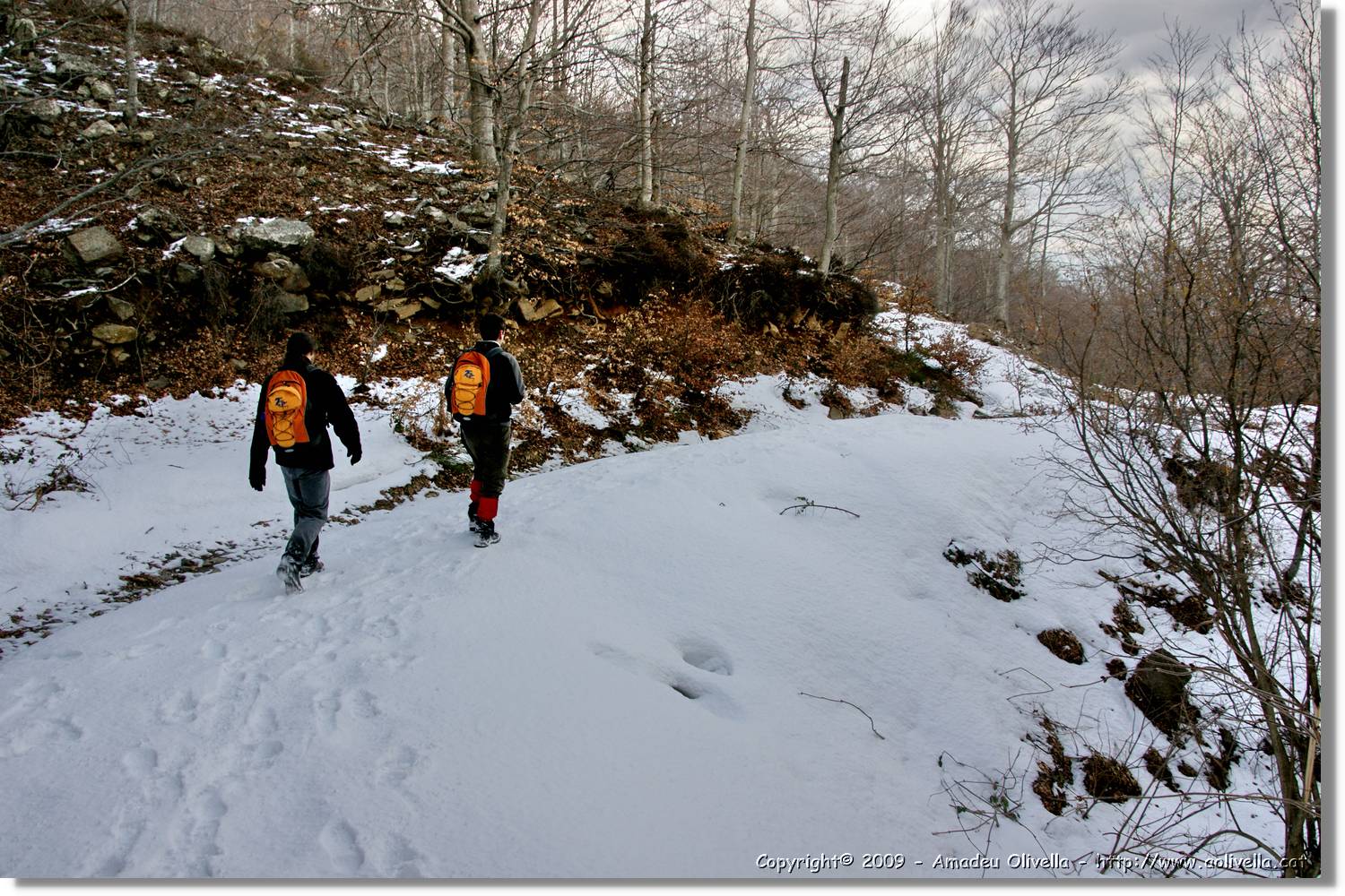 Montseny_145.jpg