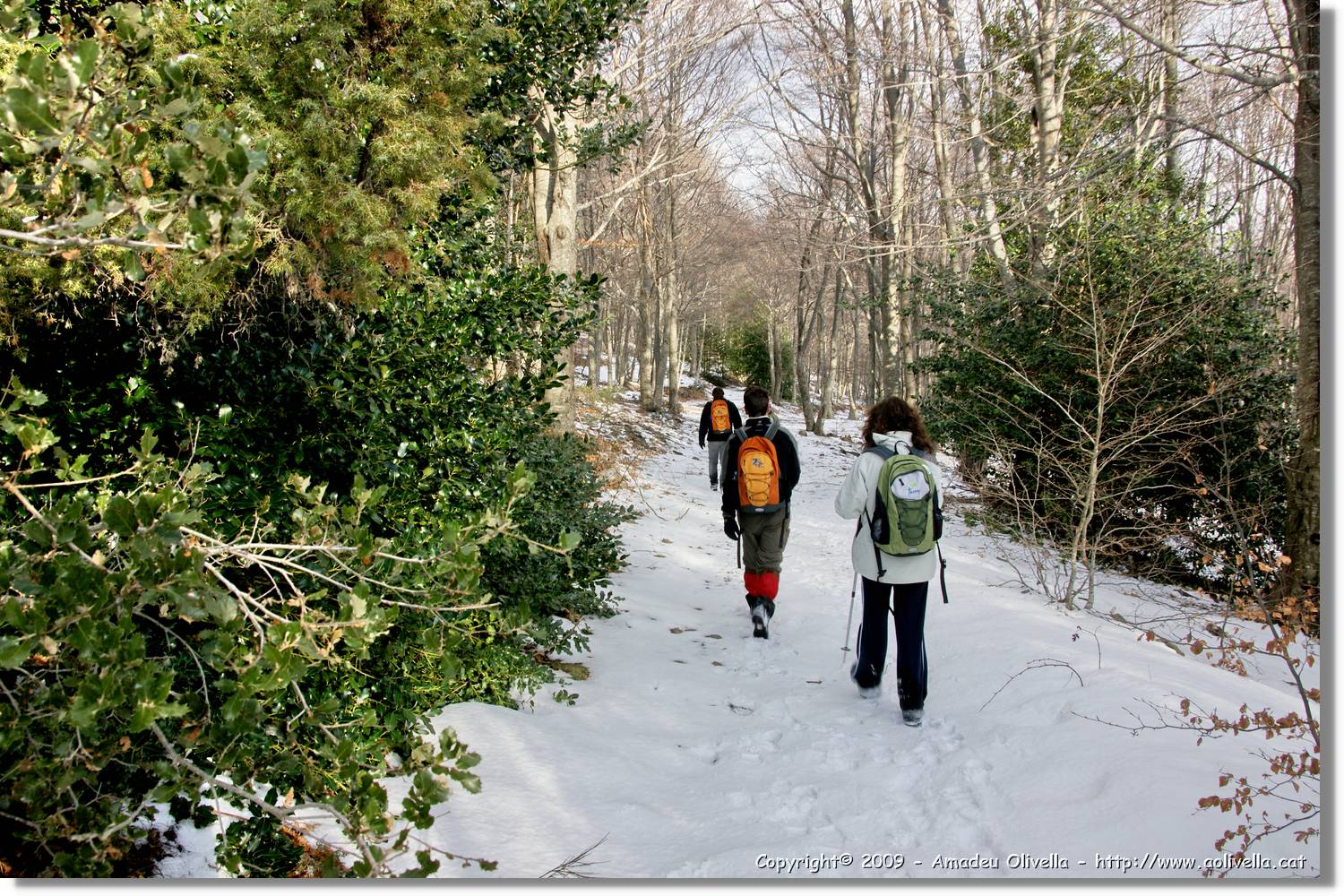 Montseny_147.jpg