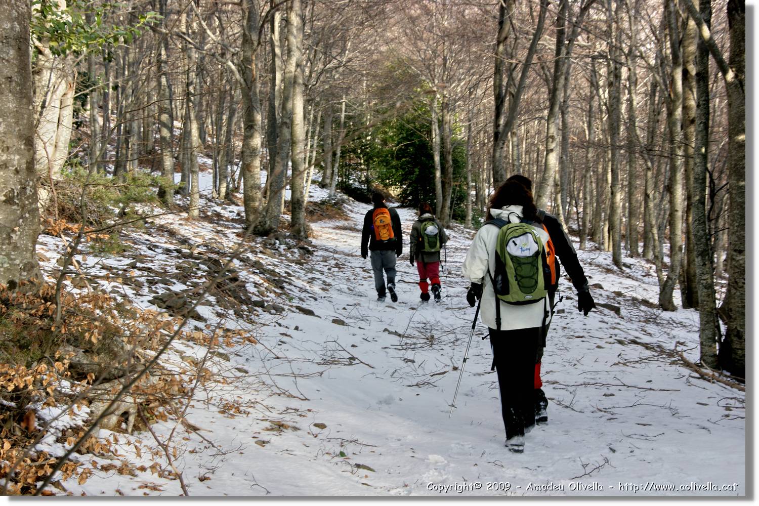 Montseny_148.jpg