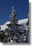 Montseny_057.jpg