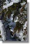 Montseny_058.jpg