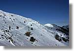 Montseny_077.jpg