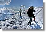 Montseny_081.jpg