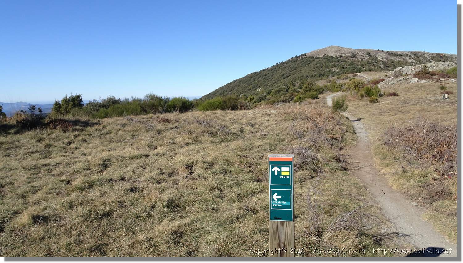 Montseny_026.jpg