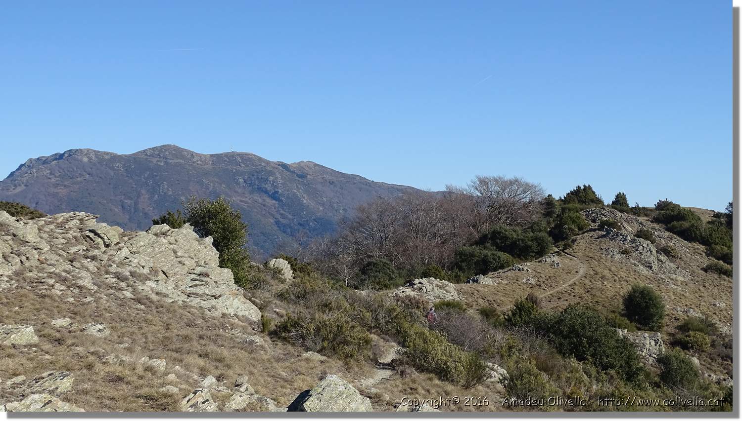 Montseny_034.jpg