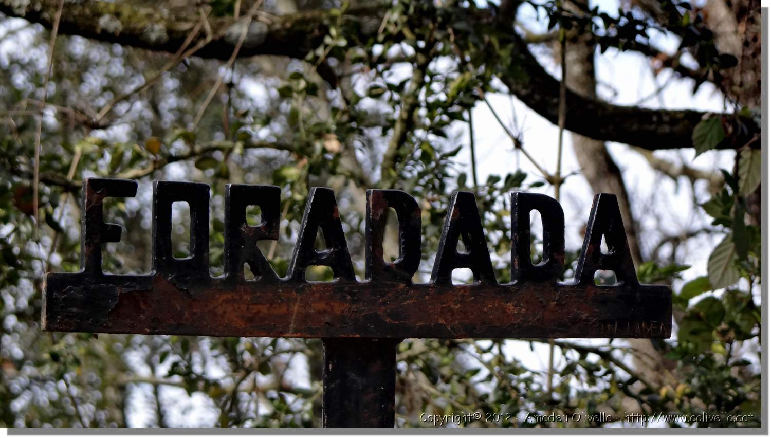 Foradada_003.jpg