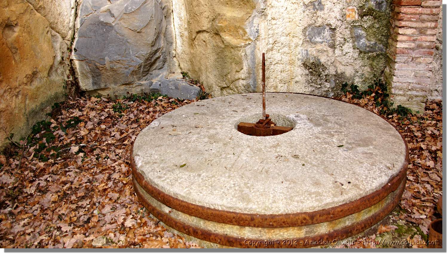 SaltMir_052.jpg