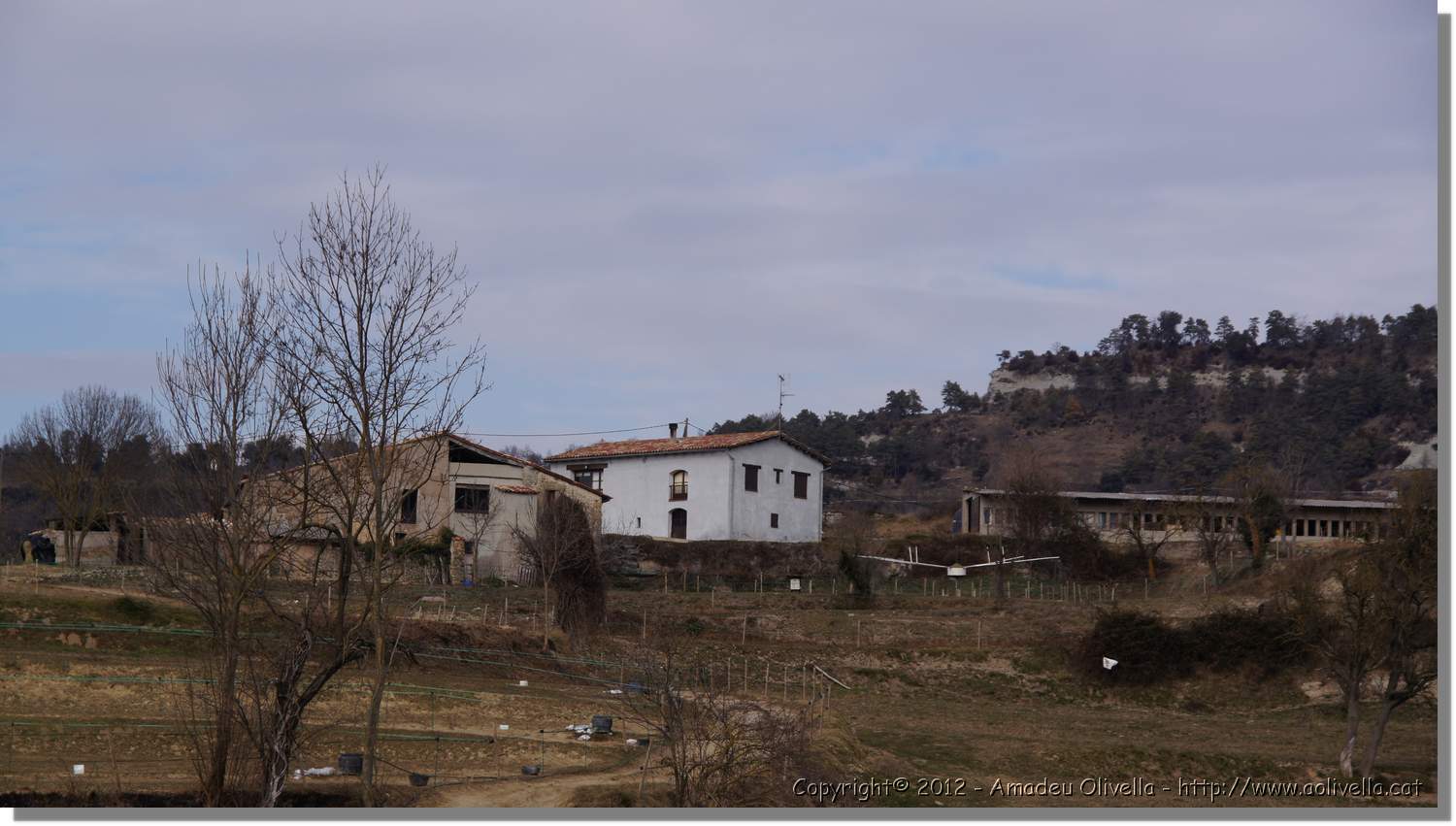 SaltMir_090.jpg