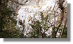 SaltMoli_111.jpg