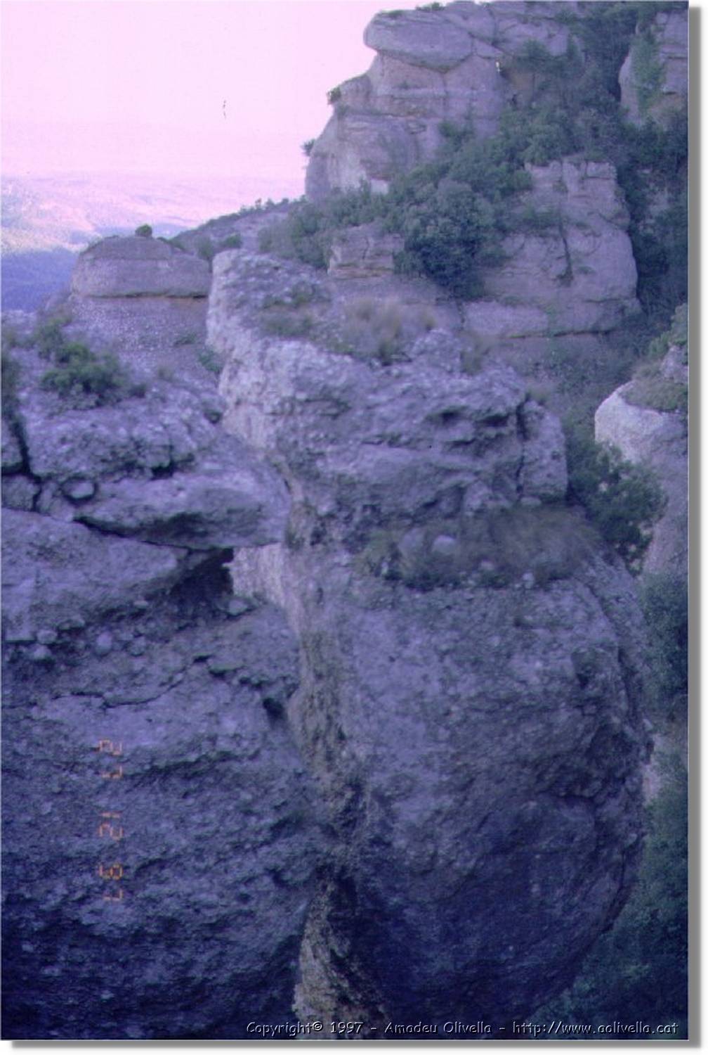 Parc_005.jpg