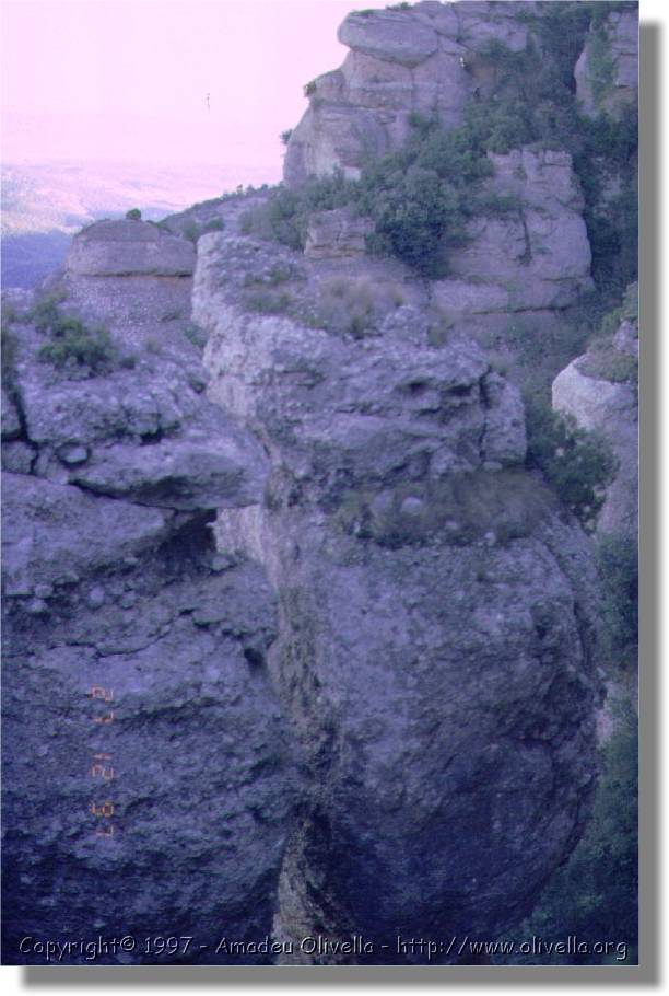 parc_06.jpg