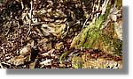 Rupit_32.jpg