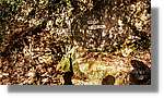 Rupit_33.jpg