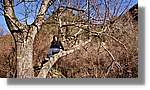 Rupit_35.jpg