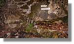 Rupit_88.jpg