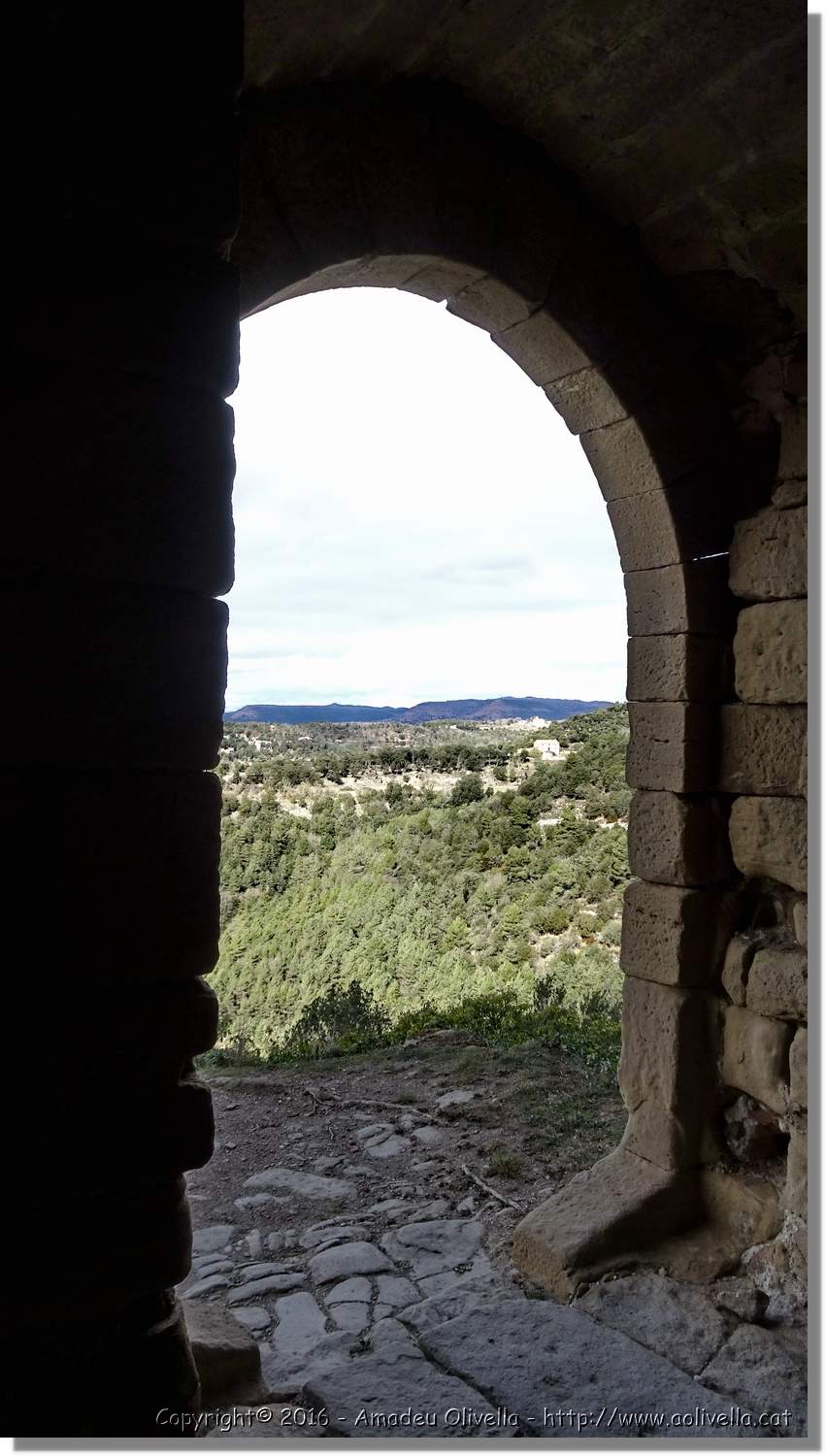 SauvaNegra__013.jpg