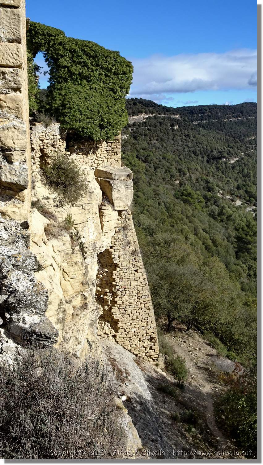 SauvaNegra__014.jpg