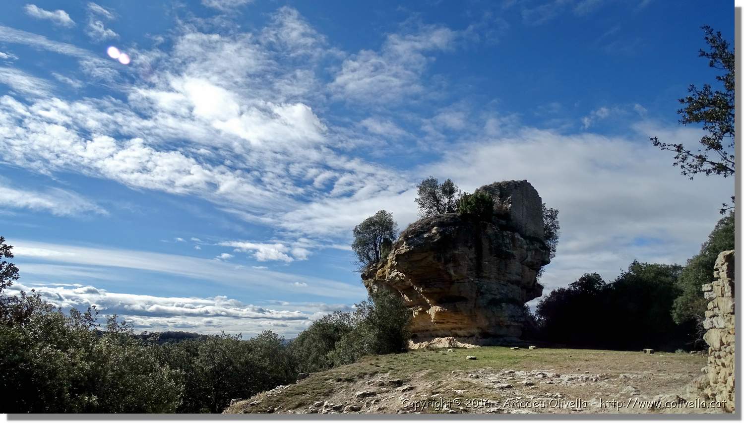 SauvaNegra__019.jpg