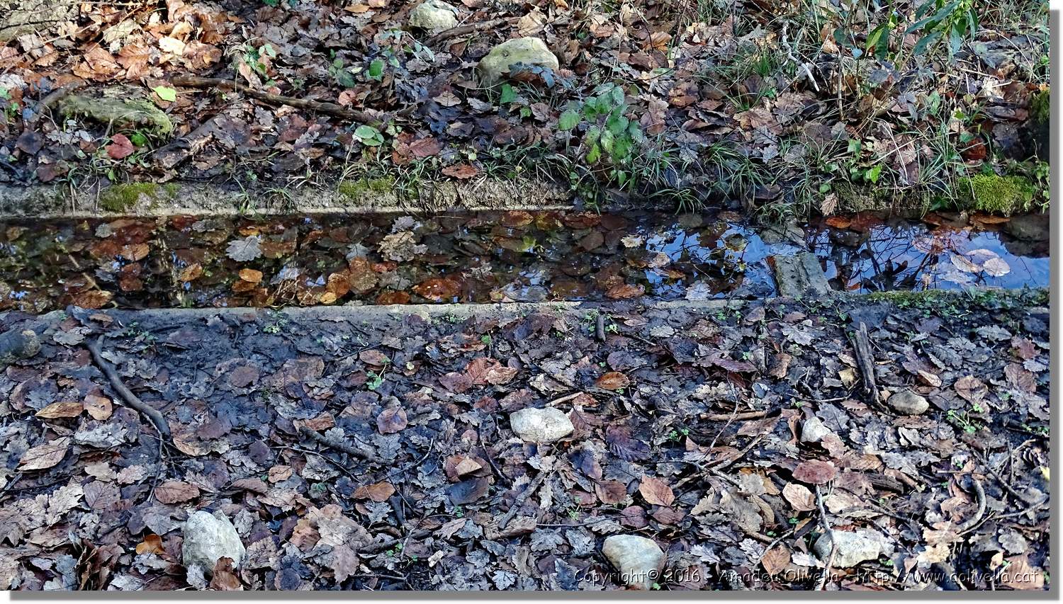 SauvaNegra__027.jpg