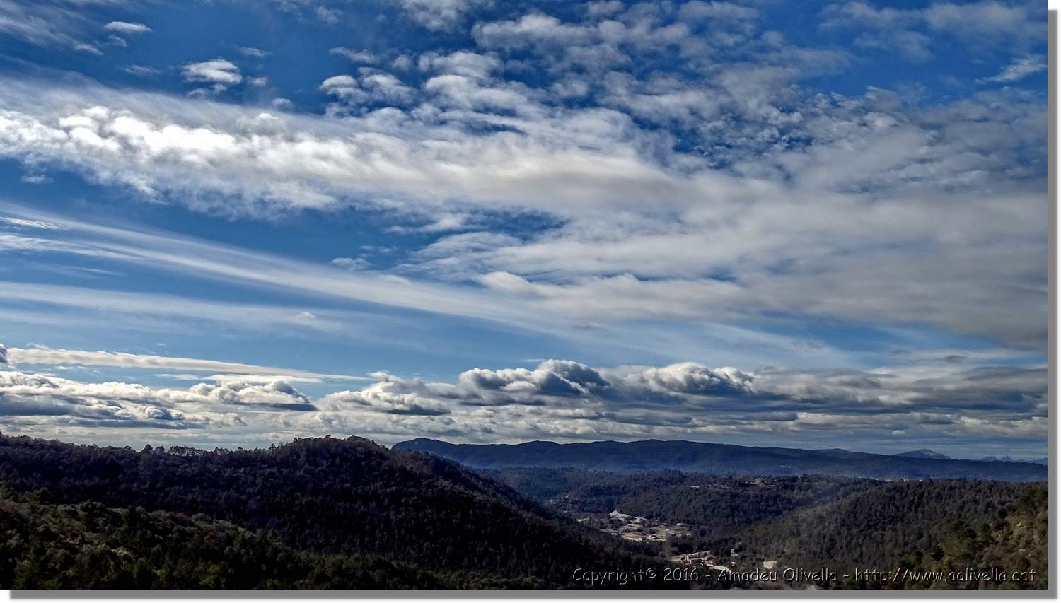 SauvaNegra__042.jpg