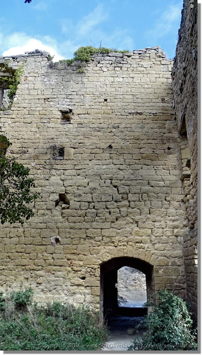 SauvaNegra__051.jpg