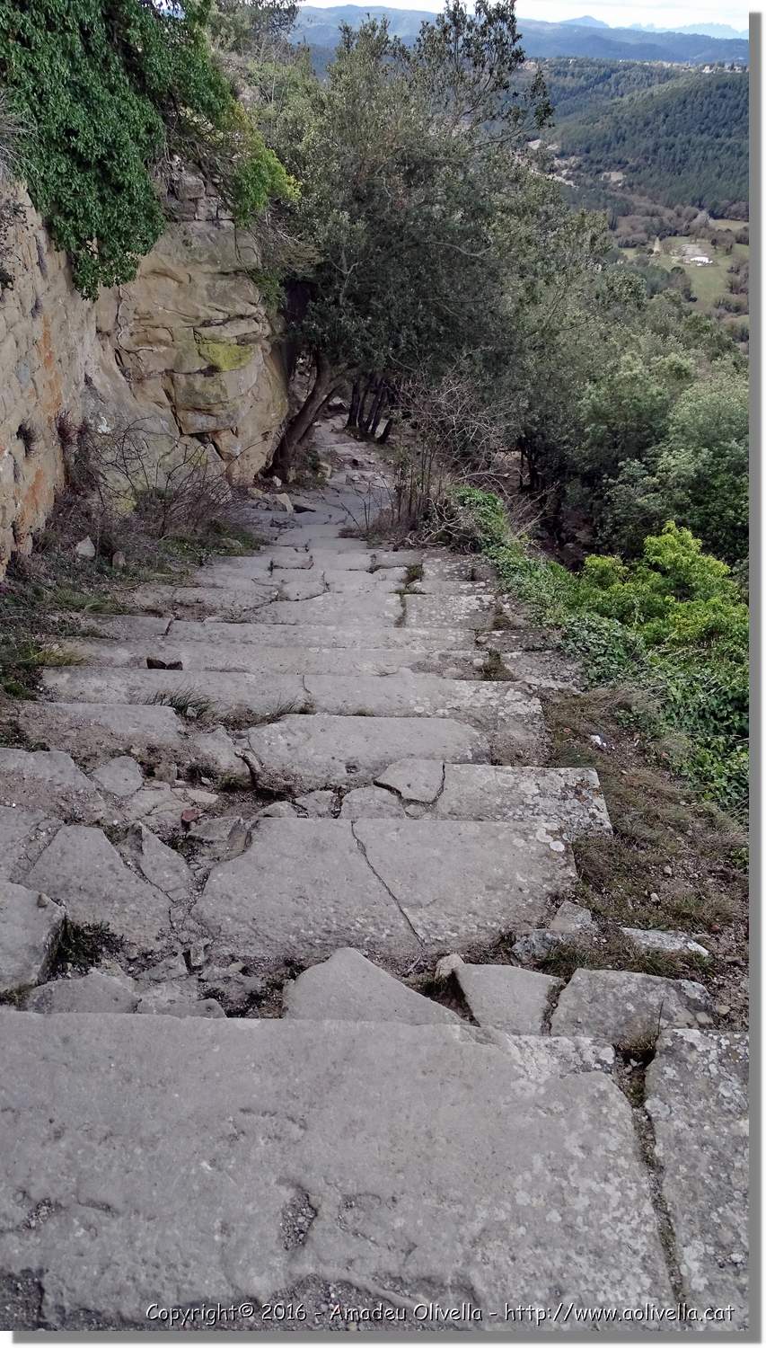 SauvaNegra__055.jpg