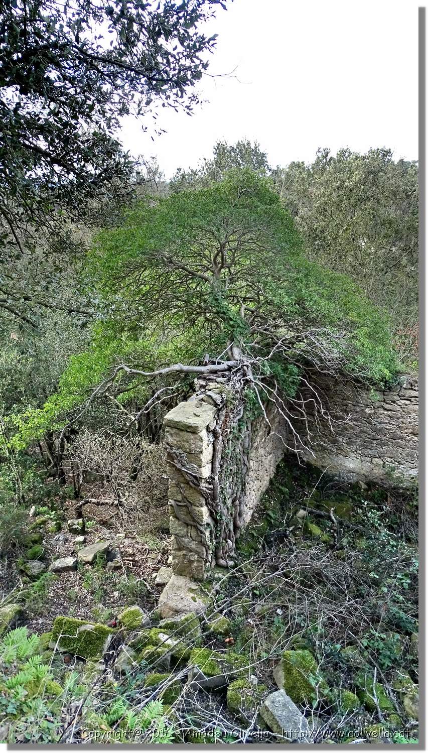 SauvaNegra__058.jpg