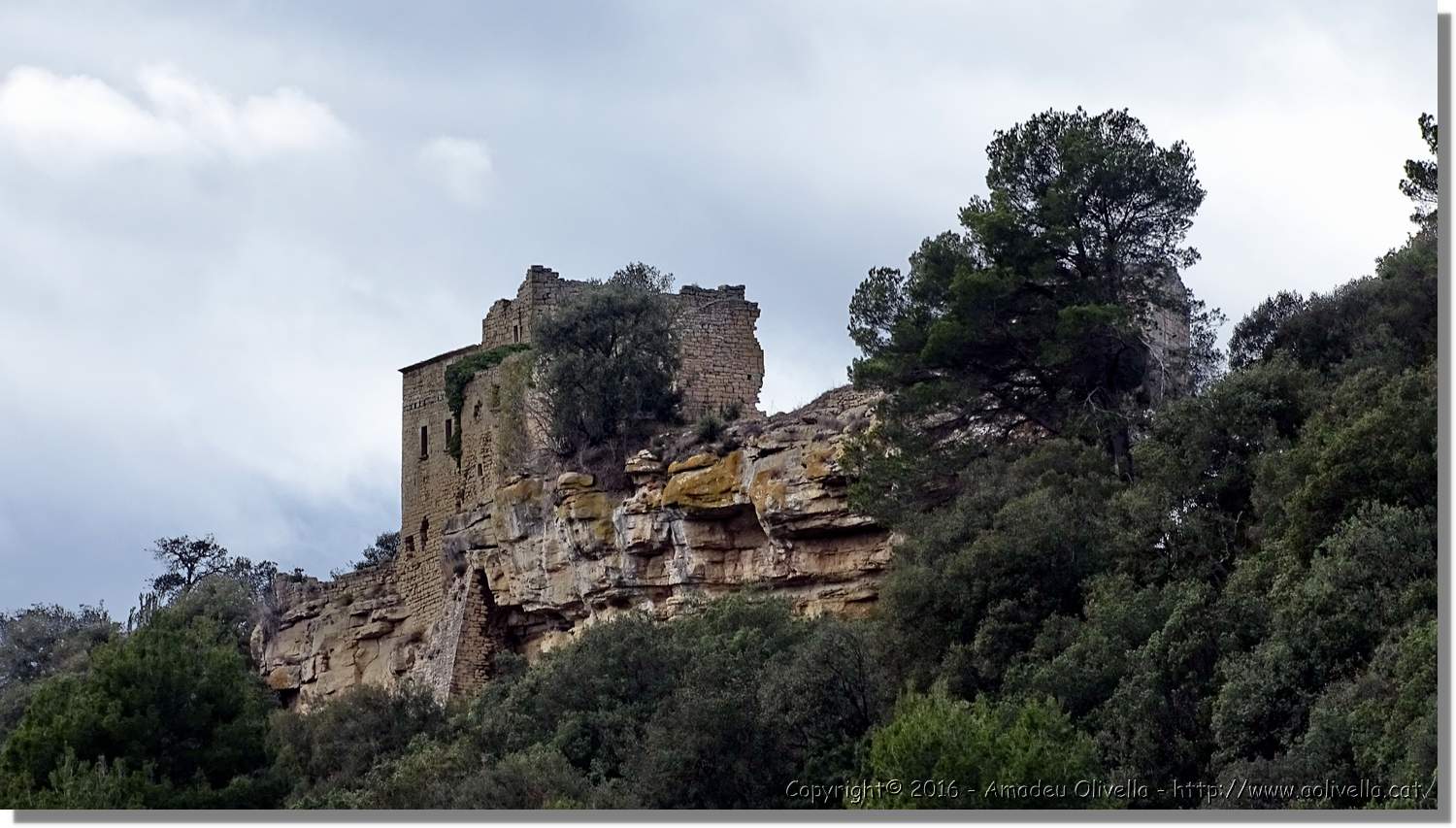 SauvaNegra__059.jpg